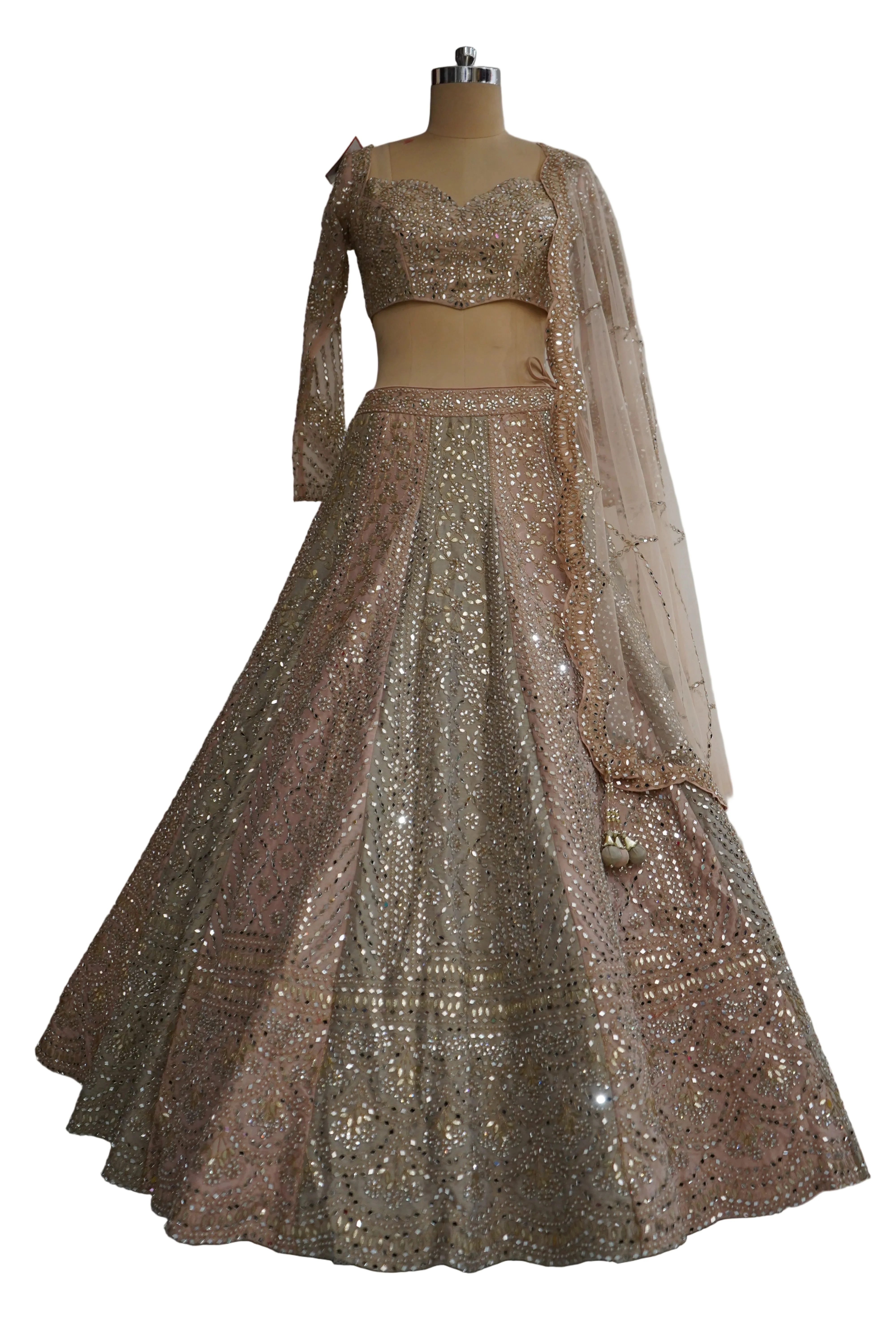 Blush Beige Designer Lehenga Set with Embellished Blouse and Net Dupatta - Image 5
