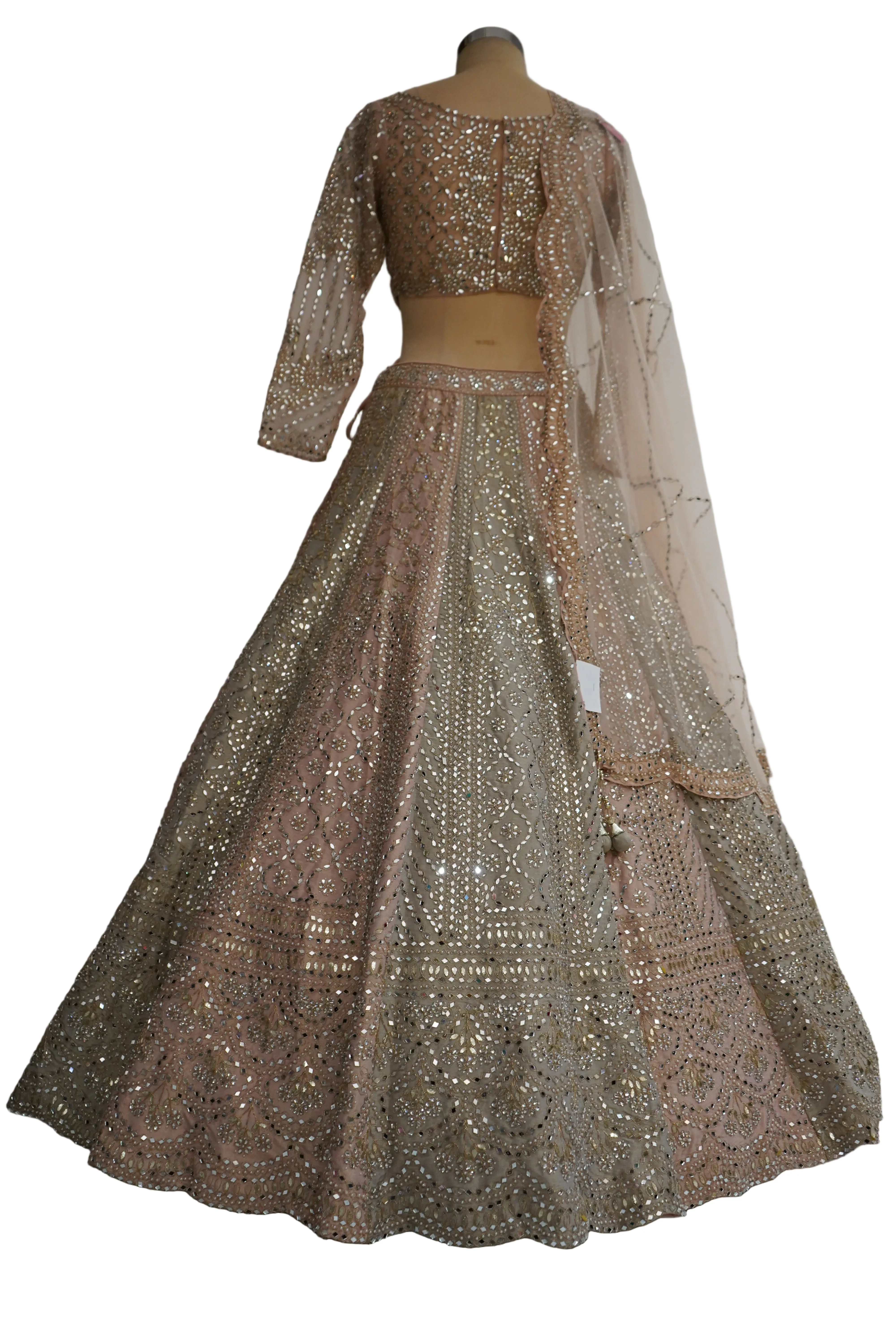 Blush Beige Designer Lehenga Set with Embellished Blouse and Net Dupatta - Image 6