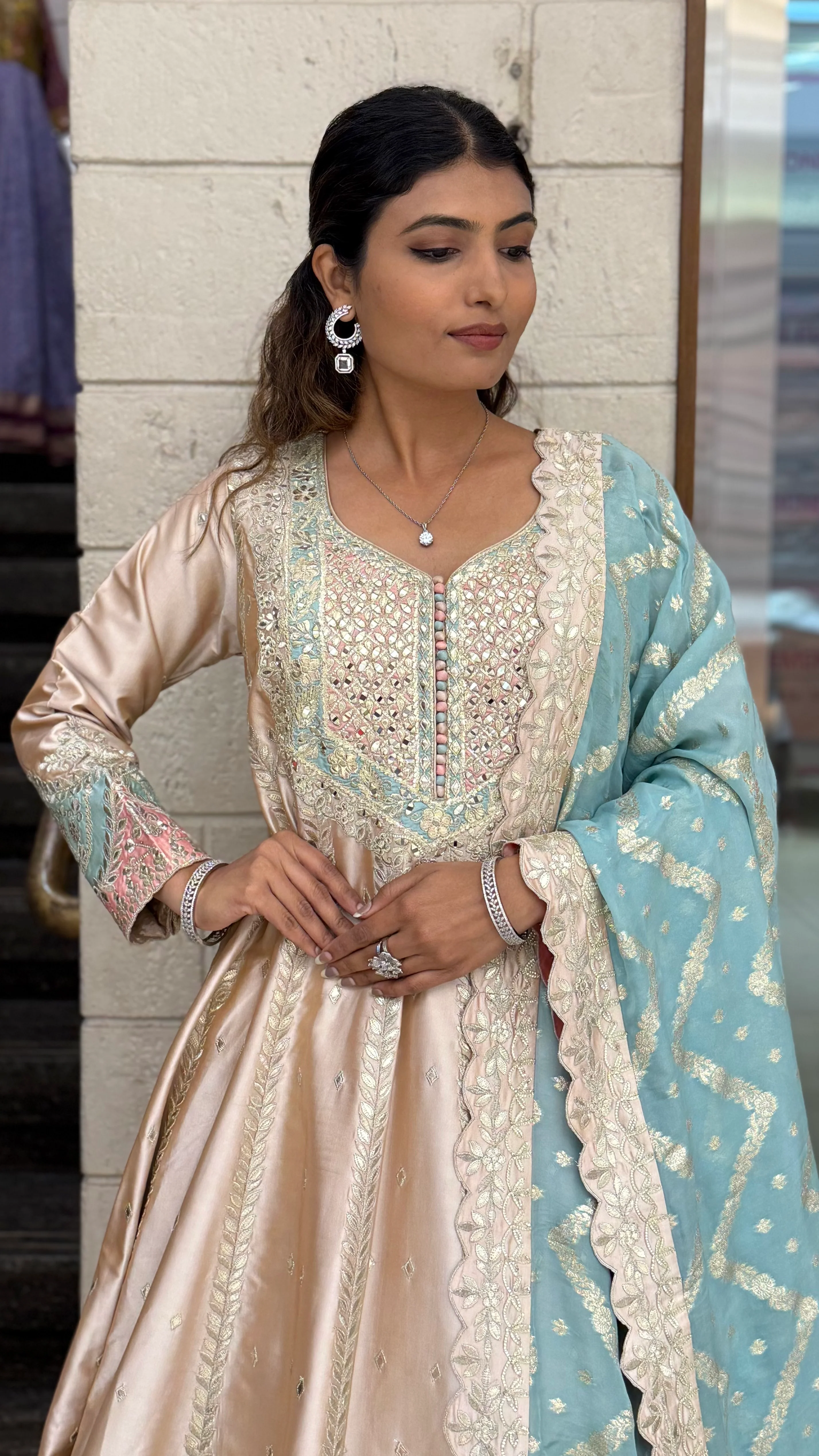 Blush Beige & Powder Blue Embroidered Designer Anarkali Gown with Dupatta - Image 5