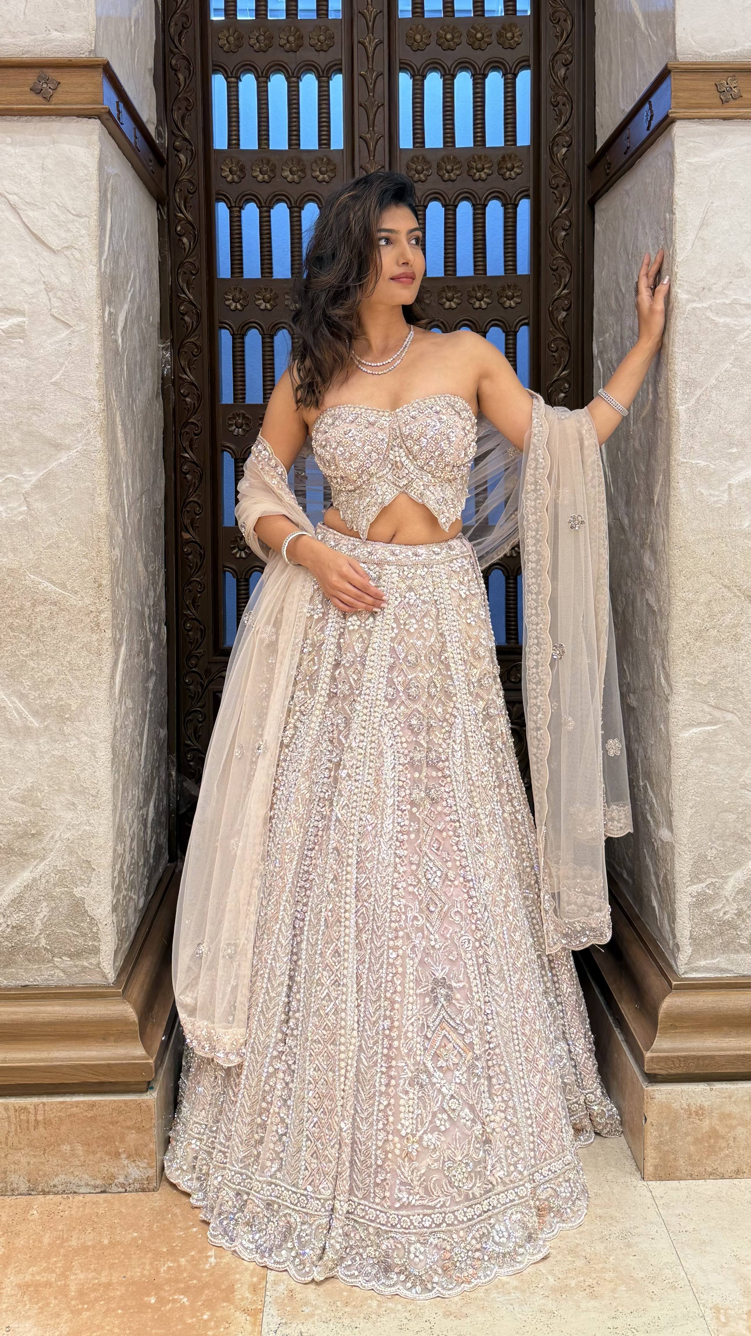 Champagne Ivory & Silver Embellished Lehenga with Corset Blouse & Net Dupatta - Image 6
