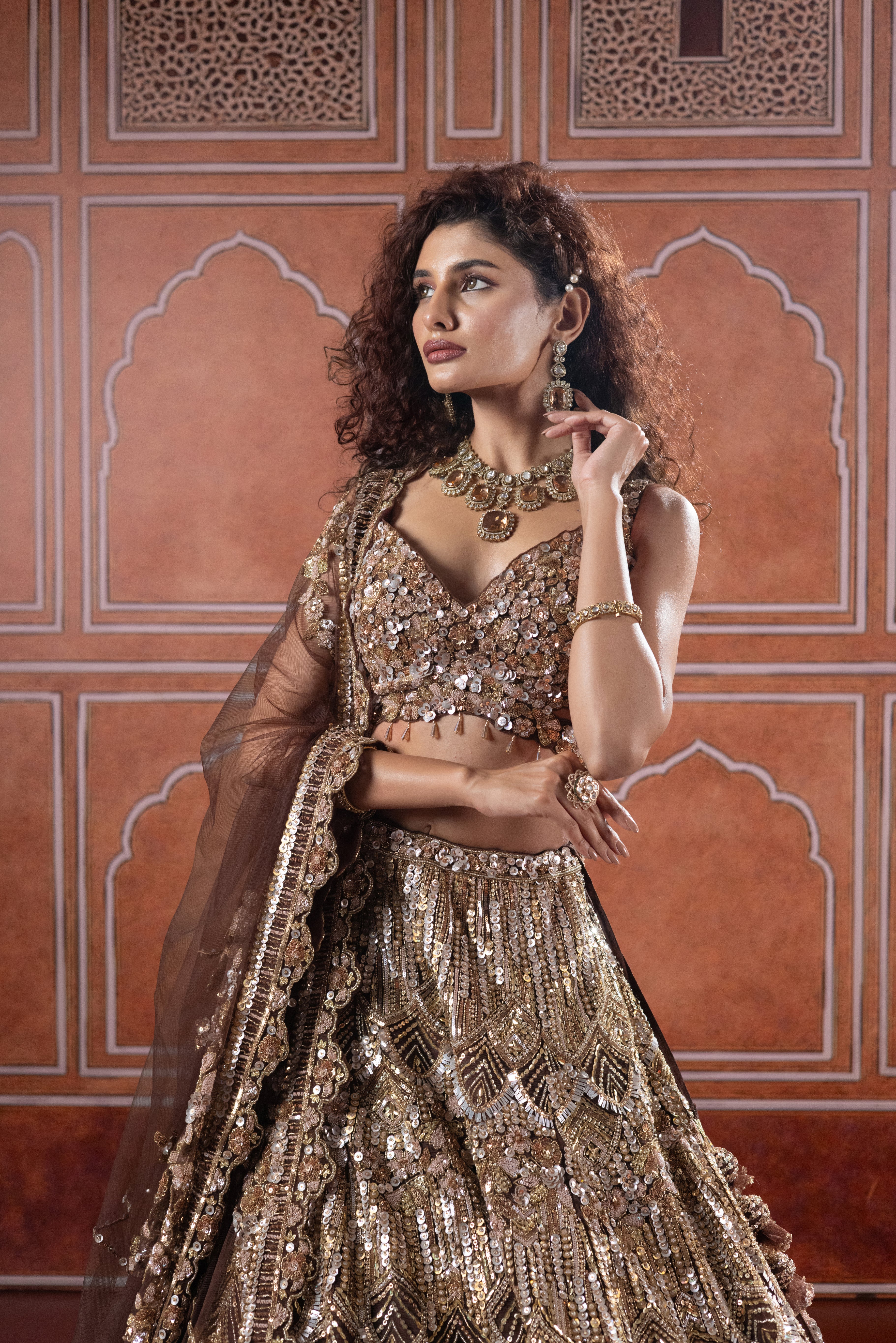 Chocolate Bronze Designer Bridal Lehenga with Heavy Sequin Embroidery - Image 3