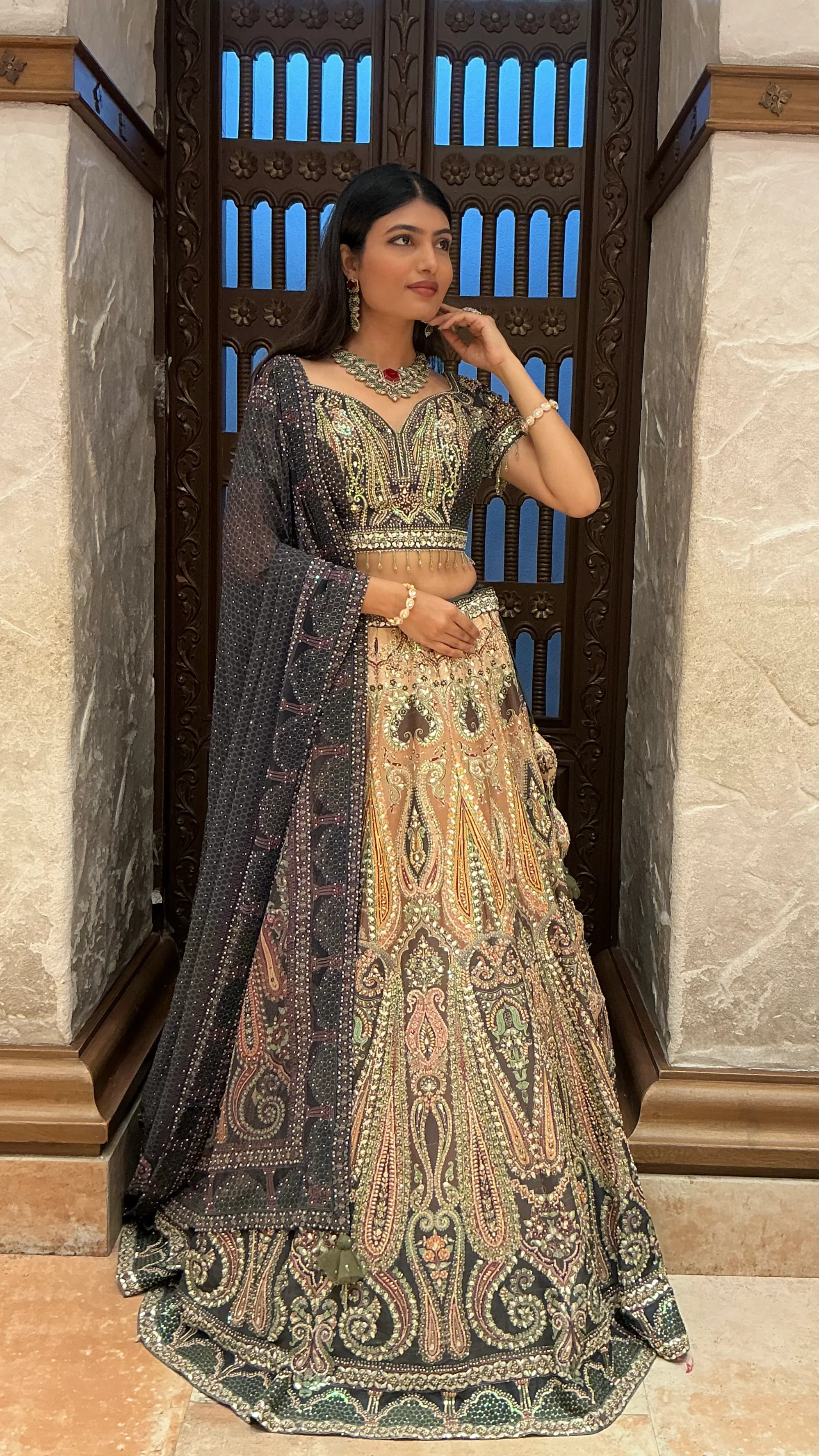 Luxury Multi-Colour Heavy Embroidered Designer Lehenga Set with Dupatta - Image 6